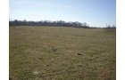 Property photo 14 - 159 Acres Offered in 7 Tracts